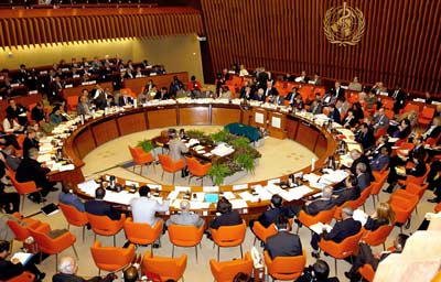 Huge Nigerian delegation at the World Health Assembly