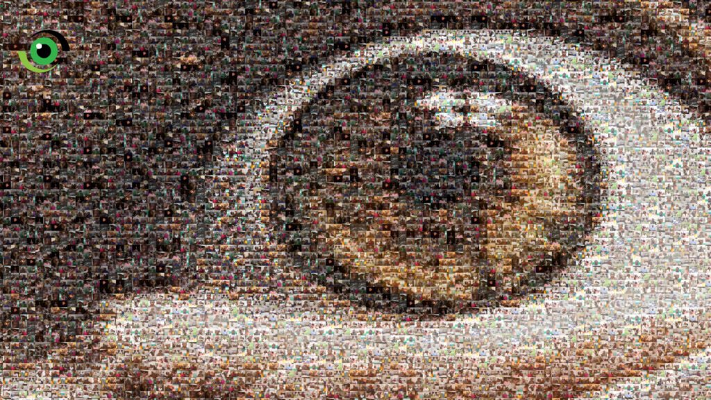 World Sight Day 2020: Shell, JV partners come together to give #HopeInSight