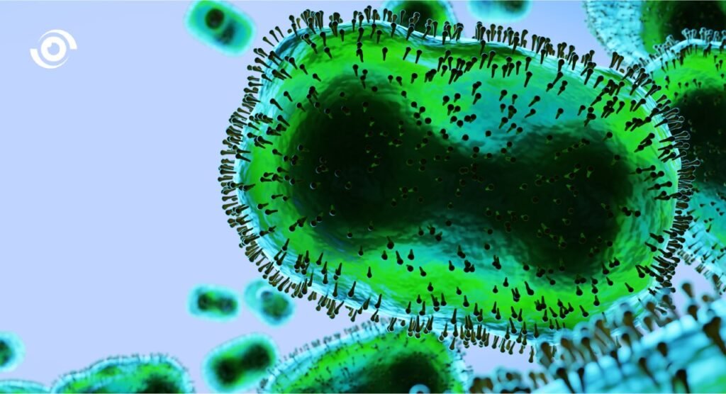 Monkeypox in Nigeria: Is There a Case for Vaccines?