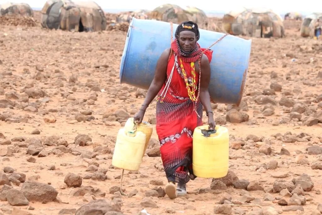 From Stored Harvests in Kenya to Lost Farmlands in Nigeria: How Communities Face Two Climate Realities